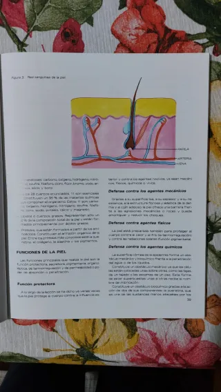 Libro de belleza, estética y moda