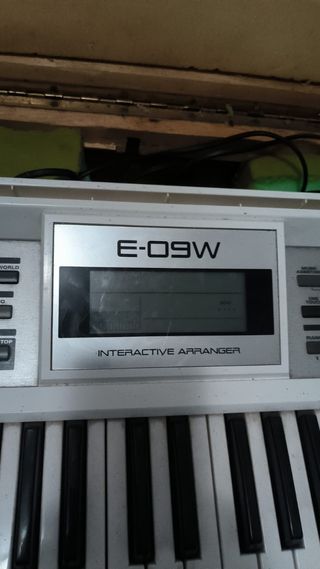 Roland E-09W Teclado Sintetizador