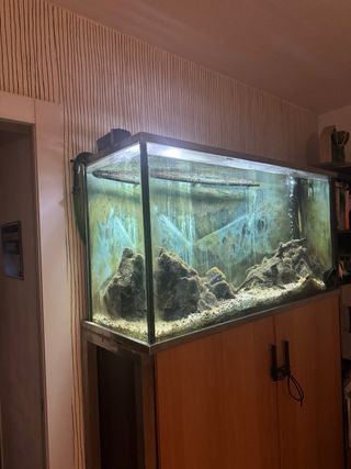 Acuario 120x63x40cm
