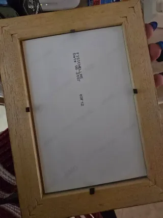 Foto Firmada Giancarlo Fisichella F1