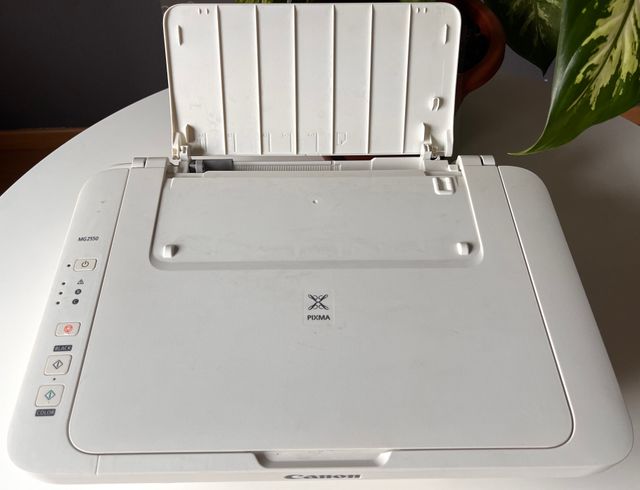 Impresora Canon Pixma MG2550 Multifunción