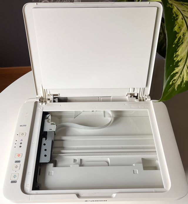 Impresora Canon Pixma MG2550 Multifunción