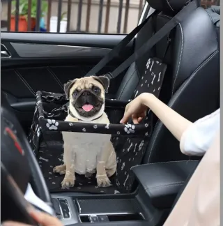Transportín Perro Asiento Coche Pequeño/Mediano