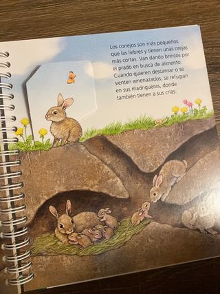 ¿Dónde viven los animales?