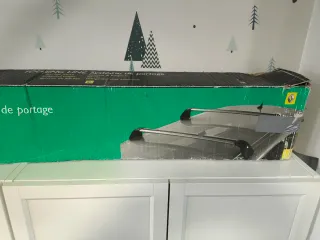 Baca Renault Scenic 2