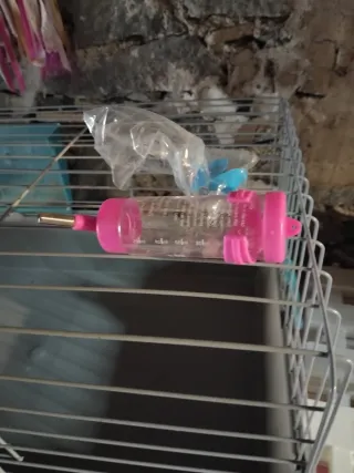 Gàbia per a conills en bon estat