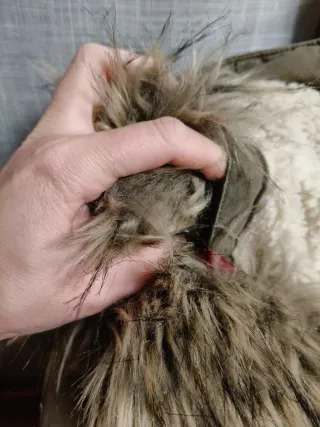 Chaqueta Pepe Jeans con capucha y pelo