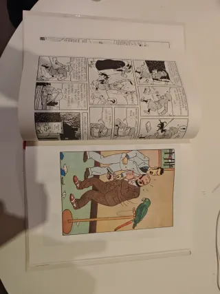 Tintín L' orella escapçada