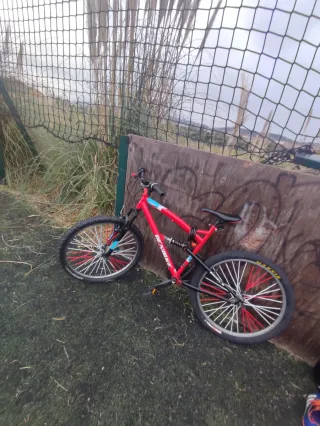 Bicicleta Denbike Roja Aro 26