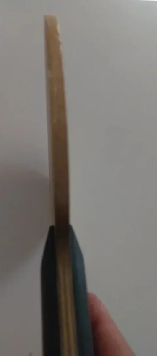 Raqueta Tenis de Mesa Butterfly KORBEL SK7