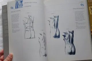 Como Dibujar La Figura Humana - Una Guia Completa