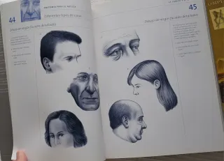 Como Dibujar La Figura Humana - Una Guia Completa