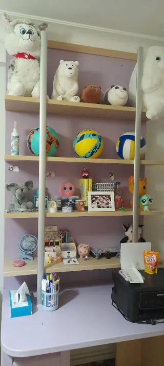 Escritorio juvenil organizador