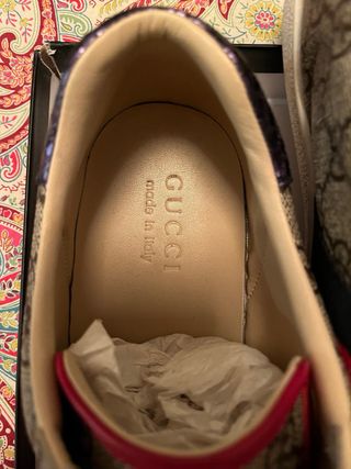 Zapatillas Gucci Tribanda