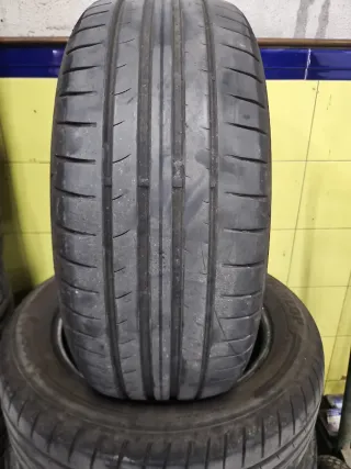 Neumáticos Dunlop 205/55R16 91V