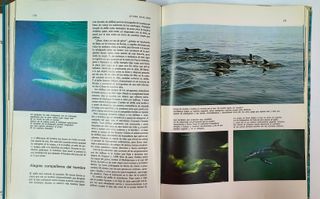 El gran libro de los oceános