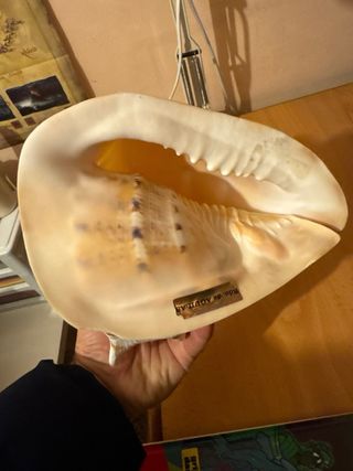 Figuras de porcelana decoradas