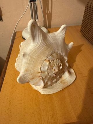 Figuras de porcelana decoradas