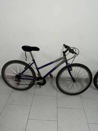 Bicicleta de montaña