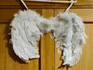 Alas de plumas blancas