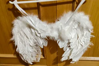 Alas de plumas blancas
