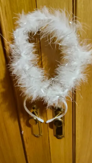 Alas de plumas blancas