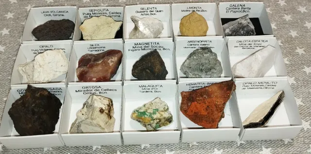 Lote de 15 Minerales Colección