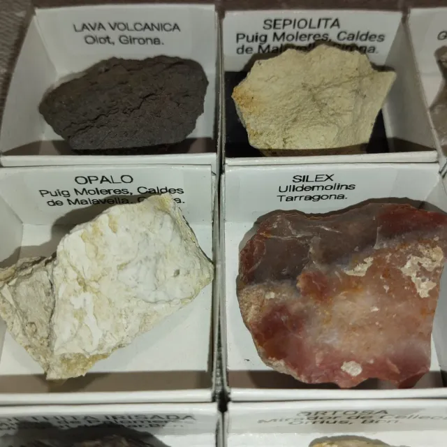 Lote de 15 Minerales Colección