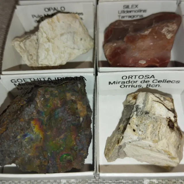 Lote de 15 Minerales Colección