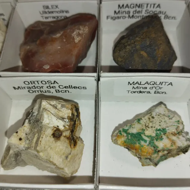Lote de 15 Minerales Colección