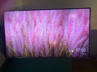 TV 40 con desperfecto