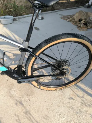 Berria Bravo 2025 AXS