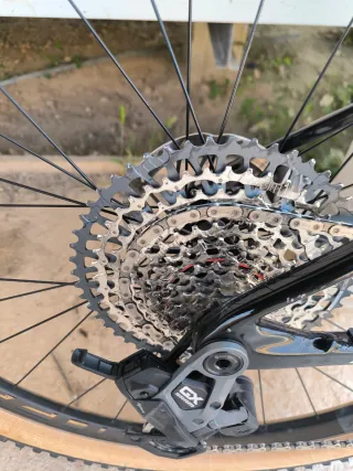 Berria Bravo 2025 AXS