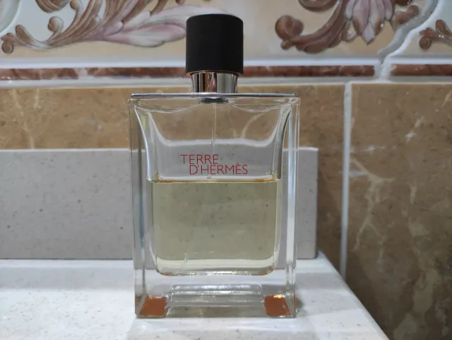Terre D'Hermes Eau de Toilette 100ml