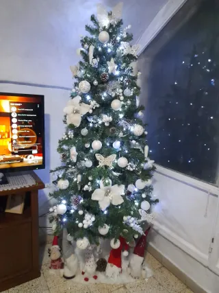 Albero di Natale con Scatola Originale