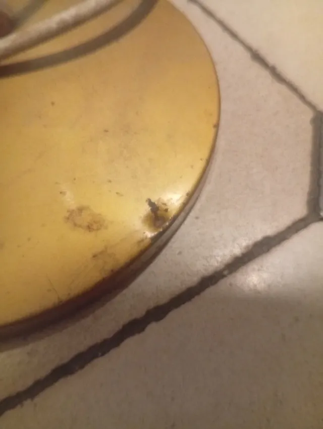 Lámpara Fase Dorada