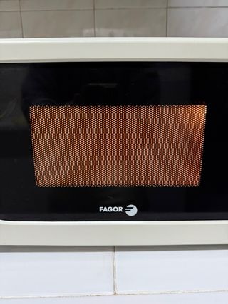 Microondas Fagor Pro Sene