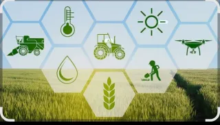 Se cogen tierras al 1/3 en la zona de badajoz y al