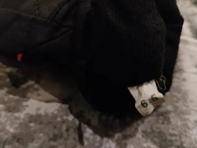 Guantes de Nieve Negros y Naranja