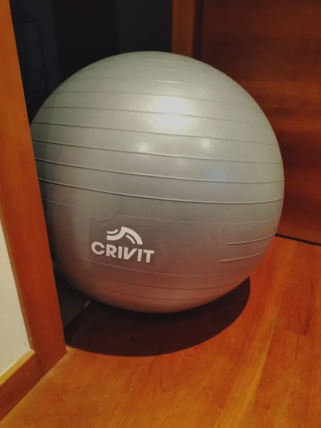 Pelota gimnasia 65 cm