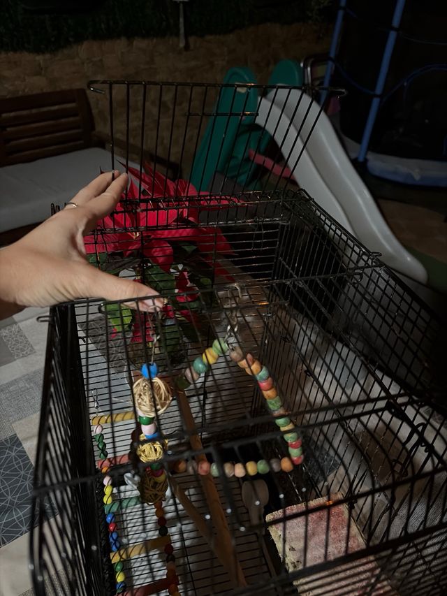 Jaula para pájaros negra y multicolor