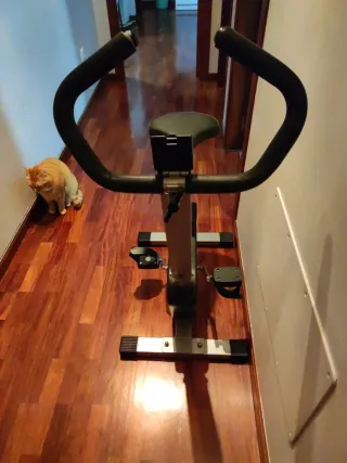 Bicicleta estática gris y negra