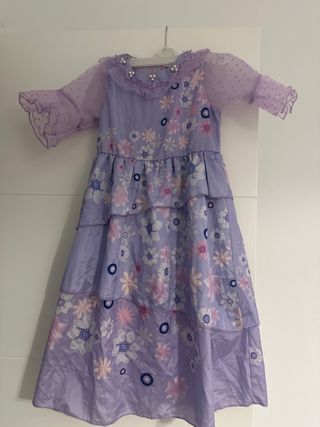 Disfraz Isabela Encanto Morado Flores