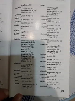 OFERTA NAVIDAD SETAS DE GUADALAJARA