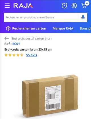 Lote 600 Cajas Cartón RAJA EC01 23x15