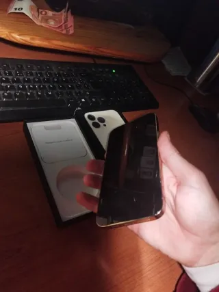 iPhone 13 Pro Max Dorado/Plateado