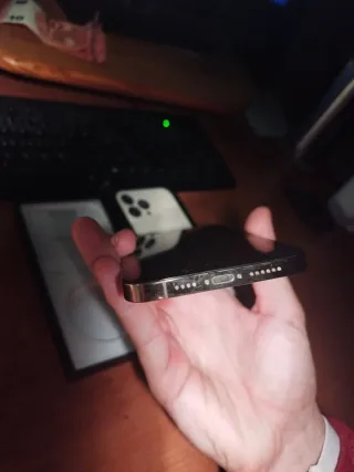 iPhone 13 Pro Max Dorado/Plateado