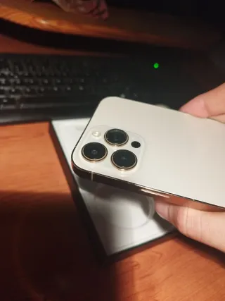 iPhone 13 Pro Max Dorado/Plateado