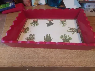 Vassoio decorativo con cactus