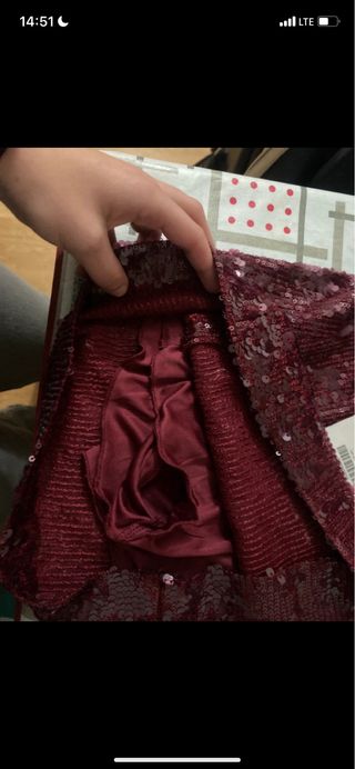 falda de lentejuelas burdeos y plata